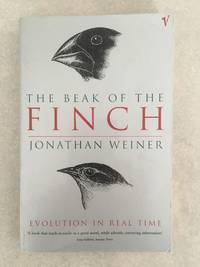 The Beak Of The Finch