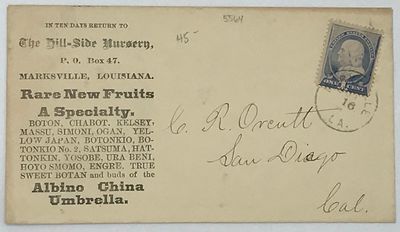 Mailing envelope printed for the Hill-Side Nursery, Marksville, Louisiana