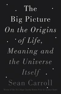 The Big Picture: On the Origins of Life, Meaning, and the Universe Itself by Carroll, Sean