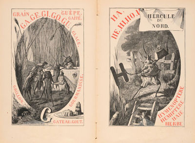 Alphabet des insectes; (photo 1)