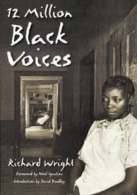 image of 12 Million Black Voices