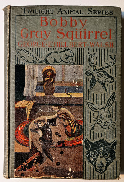 Bobby Gray Squirrel: Twilight Animal Series