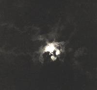 True Irish Ghost Stories. [Haunted houses in or near Dublin -- Haunted houses in Conn's half --...