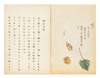 Illustrated manuscript on paper, entitled “Hansho [or Bansho] kai” [“Ryukyu Potatoes Explained”]