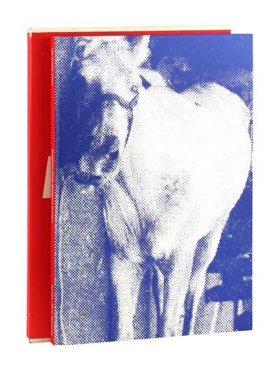 My Pretty Pony