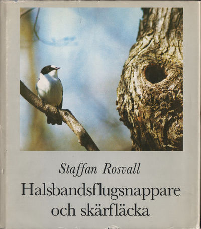 HALSBANDSFLUGSNAPPARE OCH SKÄRFLÄCKA. Några…