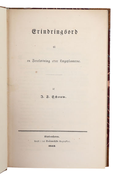 Erindringsord til en Forelæsning over…