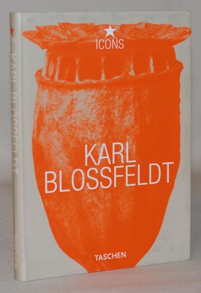 Karl Blossfeldt 1865-1932.