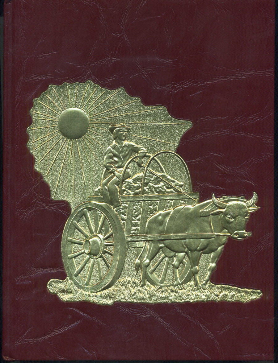 East Otter Tail County [Minnesota] History, Vol. II, 1994 by Written By