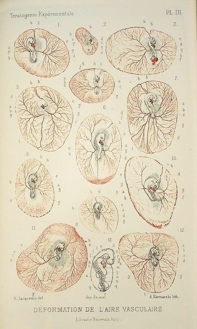 Recherches sur la Production Artificielle des Monstruosites  [Research on the Artificial Production of Monstrosities or Experimental Teratogenic Trials]