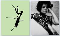 Mantis