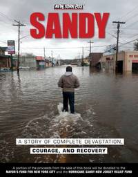 Sandy : A Story of Complete Devastation, Courage, and Recovery