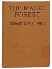 The Magic Forest: A Modern Fairy Story