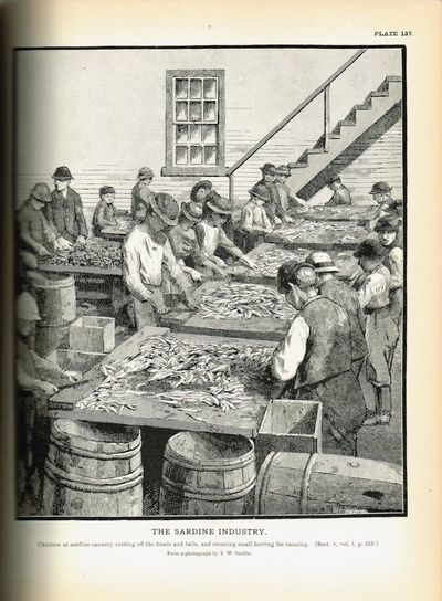The Fisheries and Fishery Industries of the United States. Section V. History and Methods of the Fisheries. Volume II: Plates. (photo 2)
