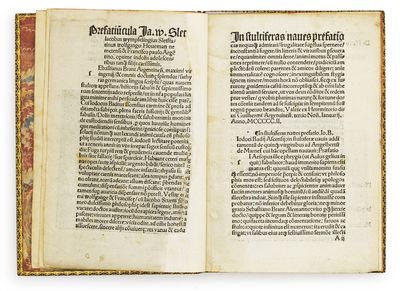 Stultiferae naviculae seu scaphe fatuarum multierum: circa sensus quinque exteriors fraude navigantium. - ["THE SHIP OF FEMALE FOOLS" - THE WARDINGTON-COPY] (photo 15)