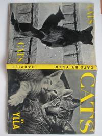 Cats by Ylla - 1960