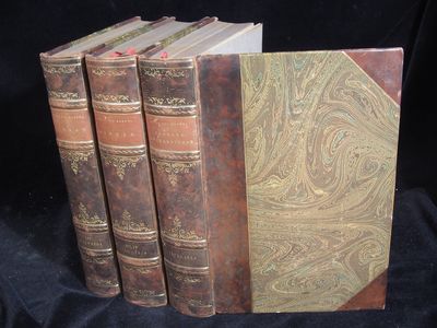 MINNEN 1833-1872 I-IV / DAGBOKSANTECKNINGAR I…