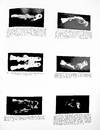 The Teratology of Fishes