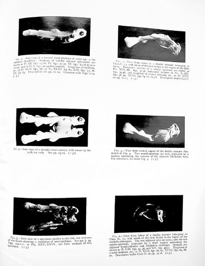 The Teratology of Fishes