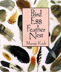 Bird, Egg, Feather, Nest