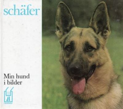 Schäfer. Min hund i bilder