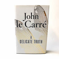 cover of A Delicate Truth