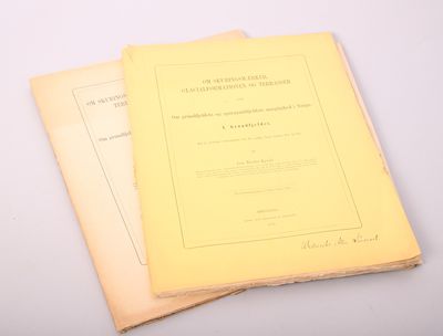 Om skuringsmærker, glacialformationen og…