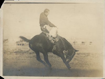 Burt C. Buffum’s Photograph of Guy Holt Riding “Steamboat,” September 1903