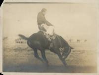 Burt C. Buffum’s Photograph of Guy Holt Riding “Steamboat,” September 1903