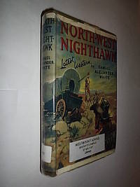 North-West Nighthawk