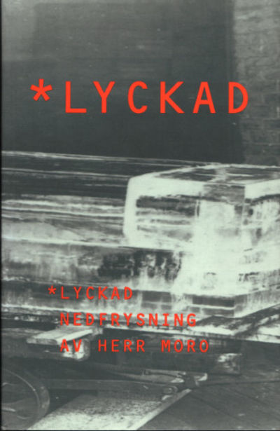 LYCKAD NEDFRYSNING AV HERR MORO.
