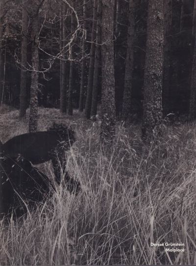 Denise Grünstein: Malplacé.