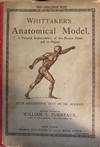 WHITTIKER'S ANATOMICAL MODEL