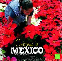 Christmas in Mexico