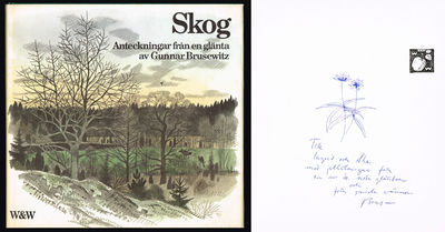 Skog. Anteckningar från en glänta.