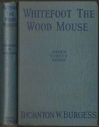 image of Whitefoot the Wood Mouse