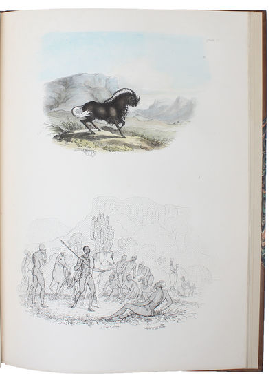 South African Sketches: Illustrative of the Wild Life of a Hunter on the Frontier of the Cape Colony. (photo 3)