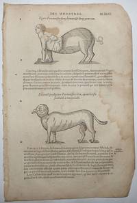 image of 16th-century leaf with four illustrations, three showing monsters that result from the mixing of species from Ambroise Paré's Monsters