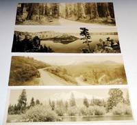 4 Harwood Photographs: Through the Redwoods,  Crater Lake, Ore,  the Switchback, Redwood Highway...