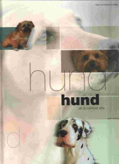 Hund. Allt du behöver veta.