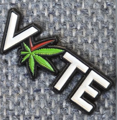 Dead and Company - 2021 - Pin - VOTE by Weed Project