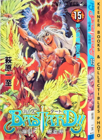 Bastard!!, Heavy Metal - Dark Fantasy, Vol. 15 / Basutado