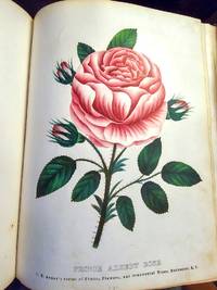 THE SPECIMEN BOOK OF FRUITS, FLOWERS AND ORNAMENTAL TREES. Carefully Drawn and Colored from Nature, for the Use of Nurserymen