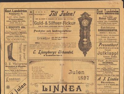Linnea julen 1897. En knippe jultankar samlade…