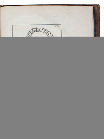 Voyages de C. P. Thunberg, au Japon, par le Cap de Bonne-Espérance, les isles de la Sonde, &c. (photo 4)