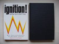 Ignition!  -  Sparking Organizational Change