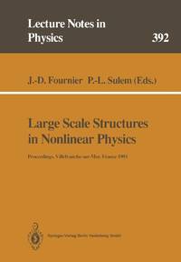 Large Scale Structures in Nonlinear Physics : Proceedings of a Workshop Held in...