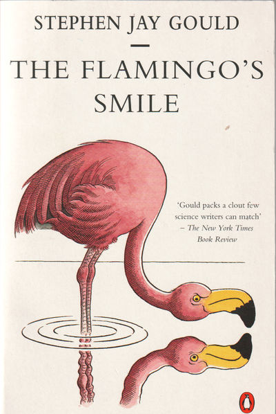 The Flamingo’s Smile