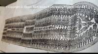 Substance of the Debates on a Resolution for Abolishing the Slave Trade, which was moved to the House of Commons… by Slavery - First - 1806 - from G.Gosen Rare Books & Old Paper, ABAA, ILAB (SKU: 418)