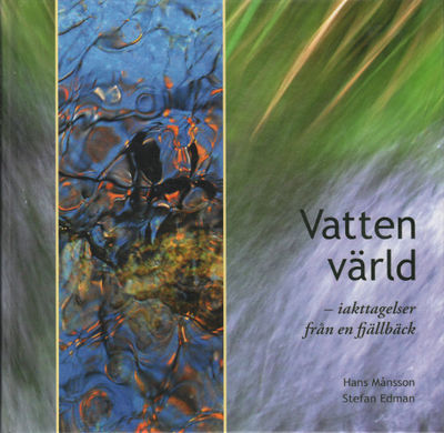 VATTENVÄRLD - iakttagelser från en fjällbäck.